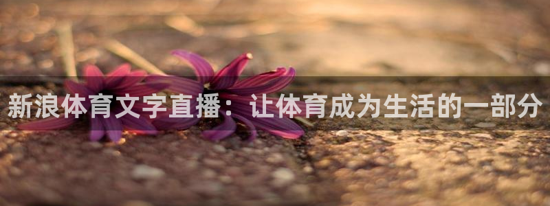 新浪体育文字直播：让体育成为生活的一部分