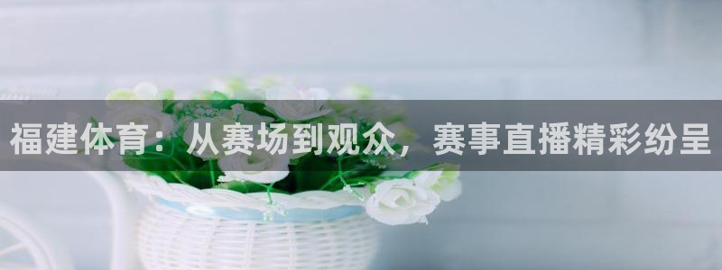 福建体育：从赛场到观众，赛事直播精彩纷呈