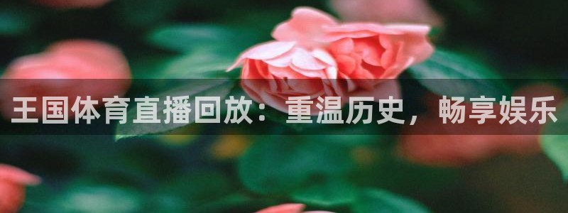 王国体育直播回放：重温历史，畅享娱乐