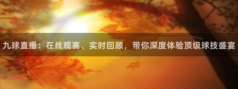 九球直播：在线观赛、实时回顾，带你深度体验顶级球技盛宴