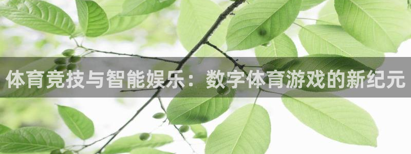 体育竞技与智能娱乐：数字体育游戏的新纪元